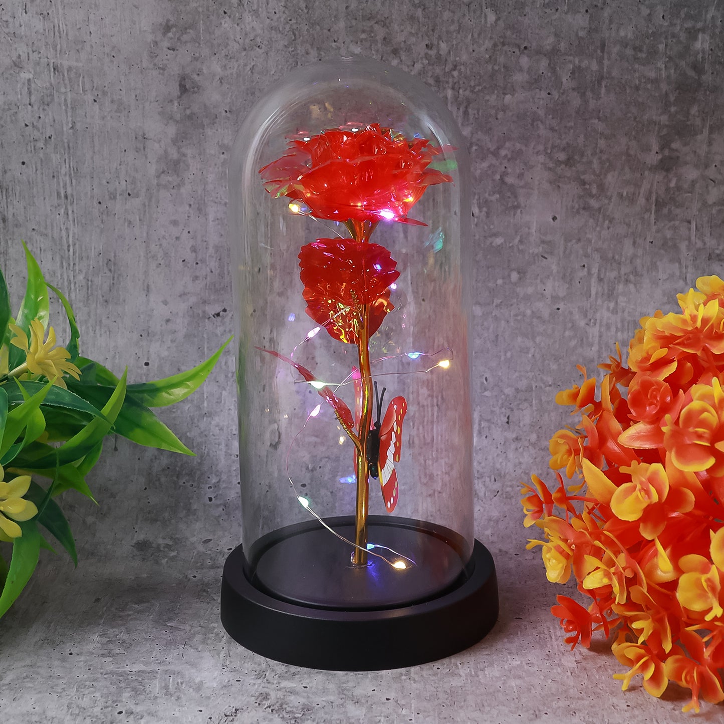 Elegant Led Eternal Rose In Plastic Dome (1 Pc  Battery Not Included)
