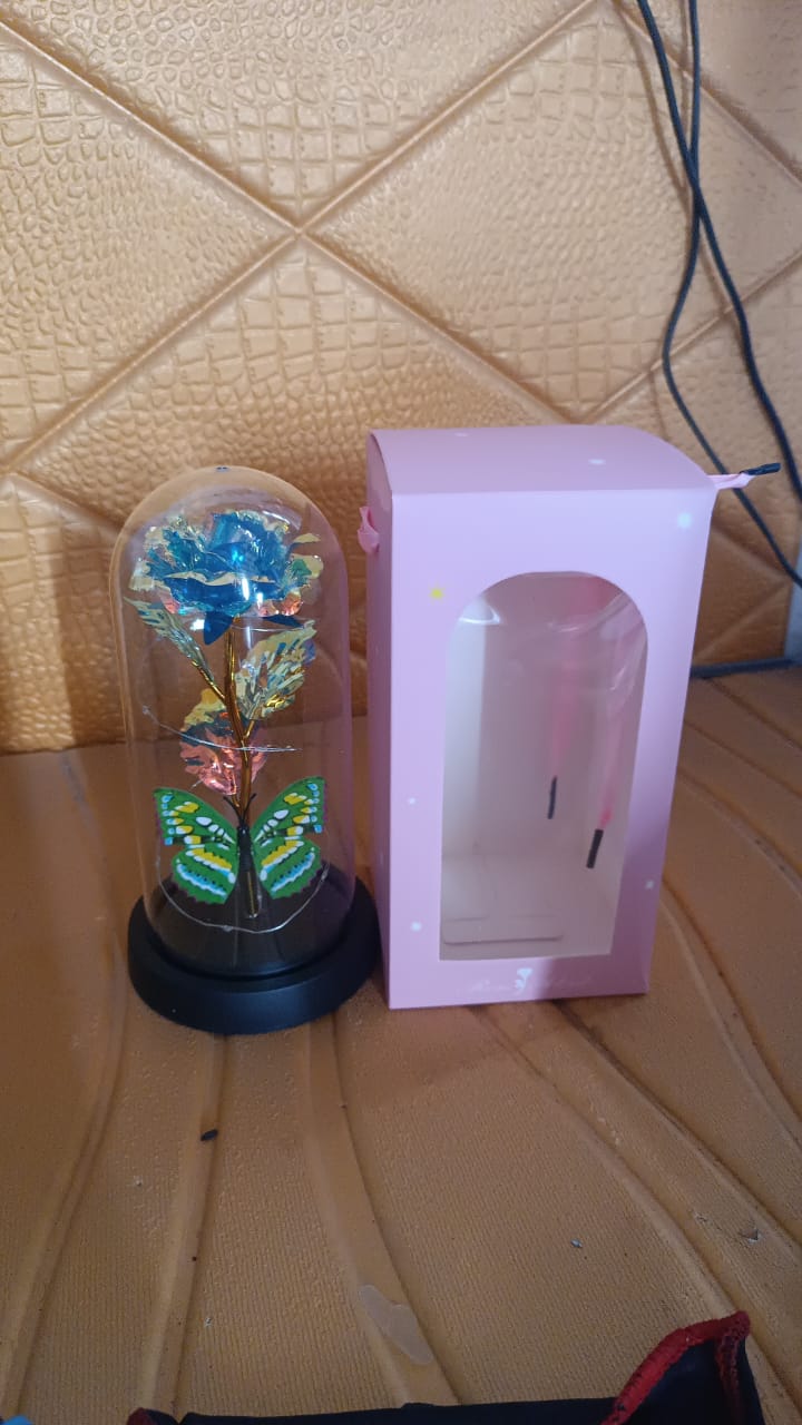 Led-powered Eternal Rose In Plastic Dome (1 Pc  Battery Not Included)
